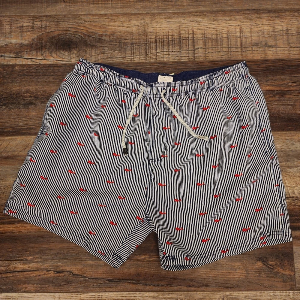 Men's Striped Swim Shorts with Red Accents